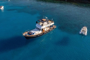 プロタラス：豪華なプライベートブルーラグーンボートツアー 3.5 時間