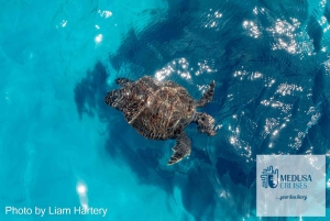 Protaras: Medusa Chill-Out-kryssning till Blå lagunen och havsgrottorna