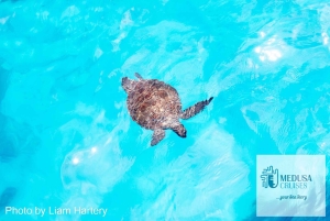 Protaras: Medusa Chill-Out-kryssning till Blå lagunen och havsgrottorna