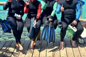 Protaras : initiation à la plongée et plongée safari à Turtle Bay