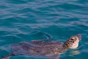 Protaras: Bådtur ved solnedgang til Turtle Cove og Den Blå Lagune