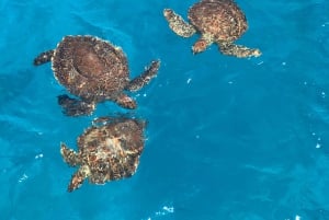 Protaras: LADY POPI Sea Cruise: Turtles, Caves & Water Slide