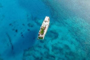 Protaras: Cruzeiro Waterworld Turtle Cove com paragens para nadar