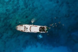 Protaras: Cruzeiro Waterworld Turtle Cove com paragens para nadar