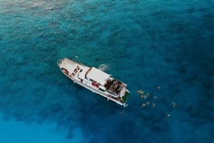 Protaras: Cruzeiro Waterworld Turtle Cove com paragens para nadar