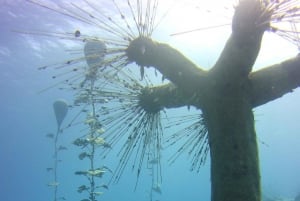 Ayia Napa: Musan Underwater Museum Dykning med transfer