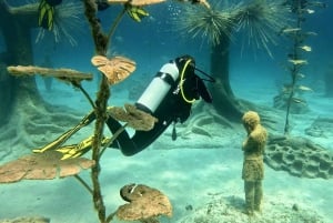 Ayia Napa : Musée sous-marin de Musan : plongée sous-marine avec transfert