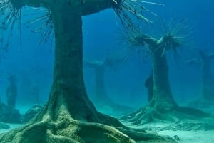 Ayia Napa: Musan Underwater Museum Dykning med transfer