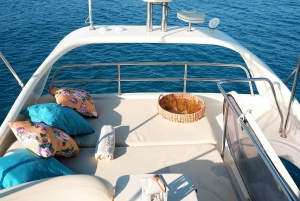 Rodman 38 Flybridge - Blue Lagoon Charters - Blue Lagoon Charters