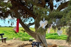 Excursión romántica para enamorados, parejas o amigos