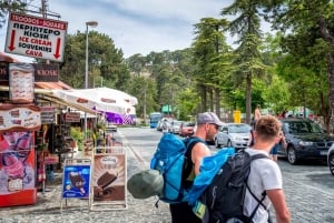 Sacred Peaks & Tales: Troodos Mountain Private Tour