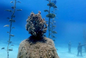 Explore the Musan Underwater Museum with a Scuba Diving Tour