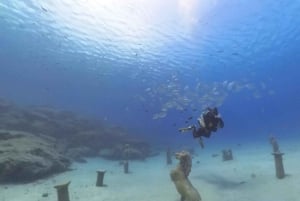 Nurkowanie – prywatne i indywidualne – nie jest wymagany certyfikat.