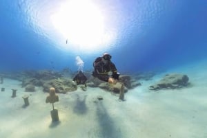 Nurkowanie – prywatne i indywidualne – nie jest wymagany certyfikat.