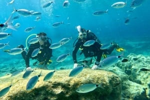 Nurkowanie – prywatne i indywidualne – nie jest wymagany certyfikat.