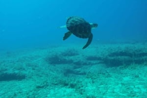 Scuba Diving - Tunnels & Caves - Cape Greco - private guided
