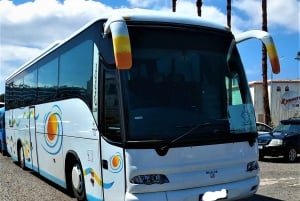 Self-Drive Boat Hire in Latchi & Transfer Option From Paphos