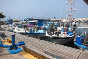 Monastero di San Neofito e Latchi: escursione guidata in francese