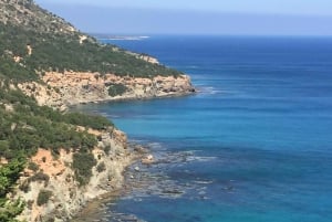 Monastero di San Neofito e Latchi: escursione guidata in francese