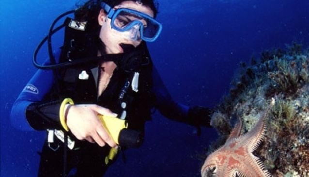 Sunfish Divers - PADI Courses