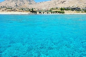 Pafos: Crucero al atardecer, observación de tortugas y bebidas ilimitadas