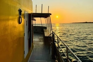 Pafos: Crucero al atardecer, observación de tortugas y bebidas ilimitadas