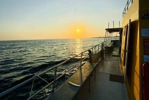 Paphos : Croisière au coucher du soleil, observation des tortues et boissons illimitées