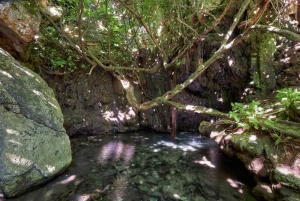 Combinaison Jeep Safari Surf et Turf et bateau