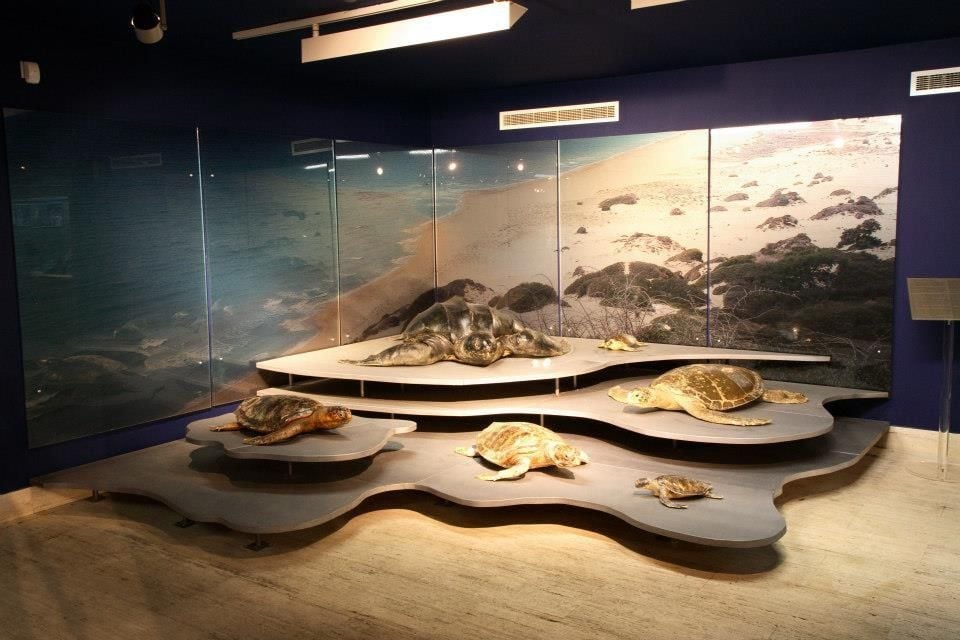 Thalassa Municipal Museum of the Sea