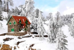 El verdadero Chipre: Excursión privada en minibús con guía local