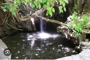 Superteamet: Akamas & Avakas Jeep Safari från Paphos