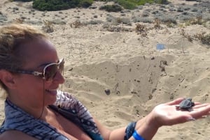 Superteamet: Akamas & Avakas Jeep Safari från Paphos