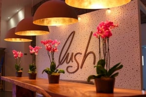 Lush Beach Bar Resto