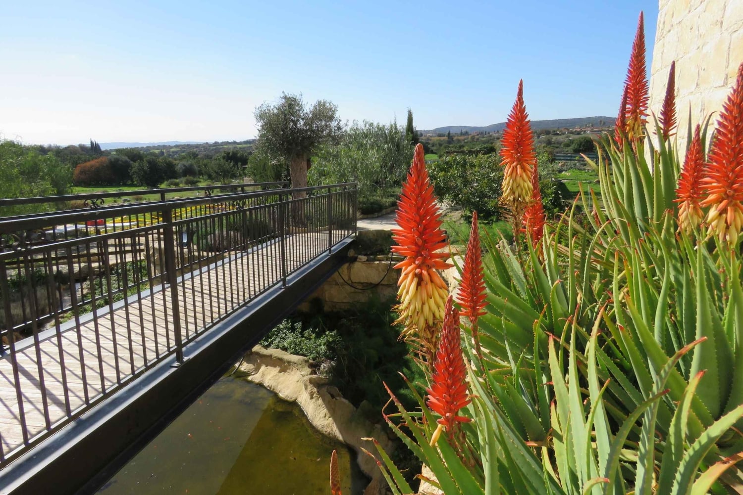 Retour aux traditions : visite expérientielle