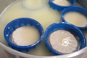 Reviviscências tradicionais: visita experiencial