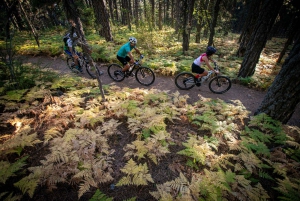 Passeio de bicicleta de montanha em Troodos