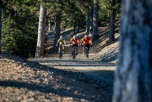 Passeio de bicicleta de montanha em Troodos