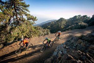 Passeio de bicicleta de montanha em Troodos