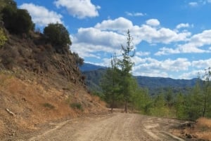 Однодневная экскурсия в горы Троодоса на зеленом внедорожнике 4×4, посещение деревень и монастыря.