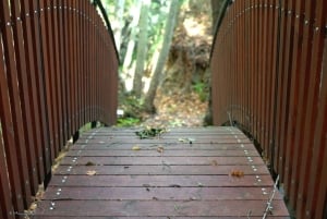 Troodos-Gebirge: Agros, Rosenfabrik & Weingut-Tour