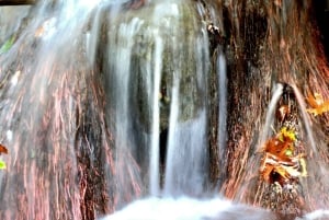 Troodos-Gebirge: Agros, Rosenfabrik & Weingut-Tour