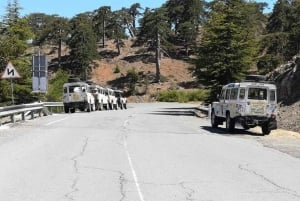 Guided Safari Tour Troodos Mountains and Kykkos Monastery