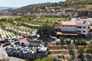 Troodosgebergte - Gratis wijnproeverij - Max 7 personen - Volledige airconditioning