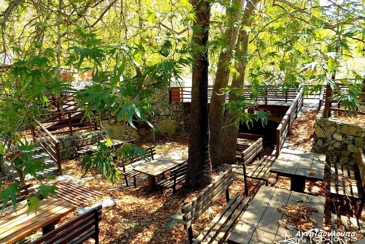 Troodos-bjergene: Tur med smagsprøver