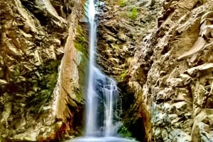 Montanhas Troodos: tour particular com prova de vinhos