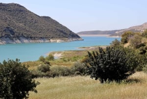 Montanhas Troodos: tour particular com prova de vinhos