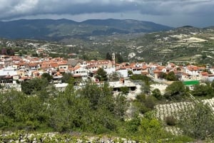 Montanhas Troodos: tour particular com prova de vinhos