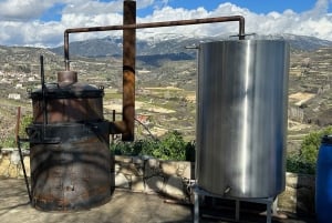 Montanhas Troodos: tour particular com prova de vinhos