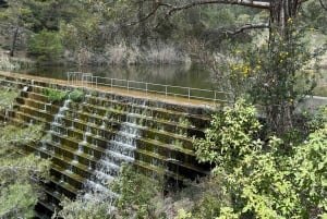 Montanhas Troodos: tour particular com prova de vinhos