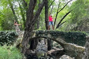 Montanhas Troodos: tour particular com prova de vinhos